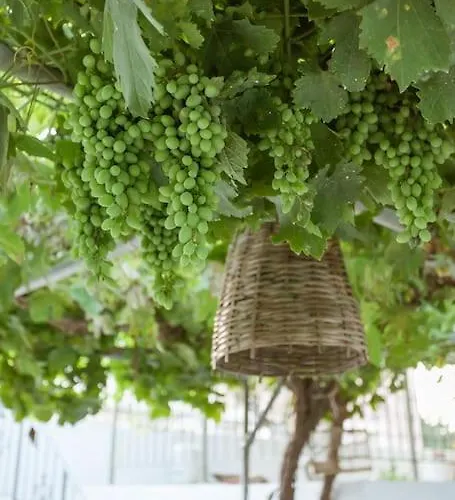 Appartement Serenity For Couples Asgourou