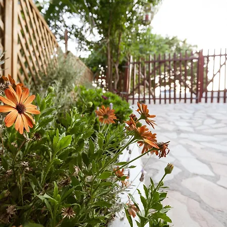 Apartman Serenity For Couples *