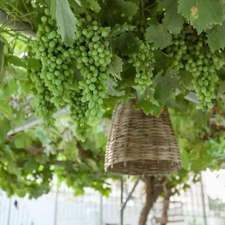 Lägenhet Serenity For Couples Asgourou